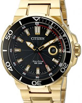 Citizen Eco-Drive Men's AW1422-50E Endeavor Gold Watch