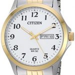 Citizen Men's ' Quartz Stainless Steel Casual Watch, Color:Two Tone (Model: BF5004-93A)