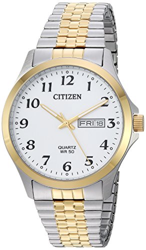 Citizen Men's ' Quartz Stainless Steel Casual Watch, Color:Two Tone (Model: BF5004-93A)