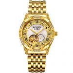 BINLUN 18K Gold Men's Wrist Watch Tourbillon Mechanical Automatic Watches