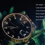 BUREI Mens Luxury Automatic Watch Two Tones Stainless Steel Dress Wrist Watch