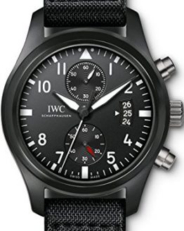 IWC Men's Swiss Automatic Watch with Stainless Steel Strap, Black (Model: IW388007)