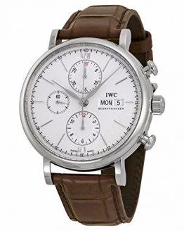 IWC Men's Quartz Watch with Stainless Steel Strap, Brown (Model: IW391007)