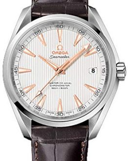 Omega Aqua Terra Watch