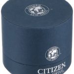 Citizen Women's Eco-Drive Normandie Stainless Steel and Black Watch