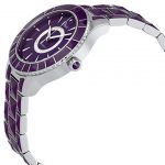 Dior Christal Automatic Ladies Watch