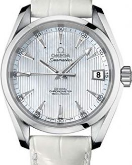 Omega Seamaster Aqua Terra Stainless Steel 38.5mm Diamond Watch 231.13.39.21.55.001