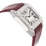 Cartier Santos 100 Automatic-self-Wind Male Watch