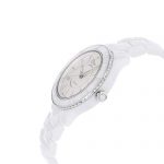 Dior Dior VIII Automatic-self-Wind Female Watch