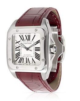 Cartier Santos 100 Automatic-self-Wind Male Watch