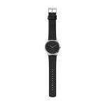 Skagen Men's Holst Quartz Stainless Steel and Leather Watch Color
