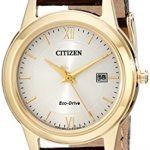 Citizen Women's Eco-Drive Stainless Steel Watch with Date
