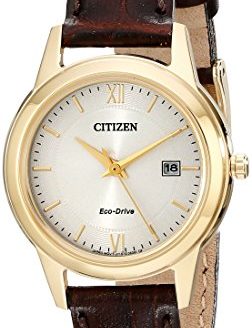 Citizen Women's Eco-Drive Stainless Steel Watch with Date