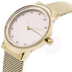 Skagen Box Set - Timeless Elegance for Everyday Wear