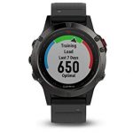 Garmin fēnix 5, Premium and Rugged Multisport GPS Smartwatch