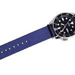Ritche 20mm NATO Strap Nylon Watch Band Compatible with Timex