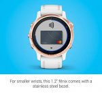 Garmin Fenix 6S Pro Multisport GPS Watch