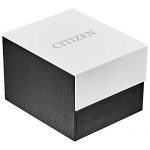 Citizen Men's Eco-Drive Stainless Steel Dress Watch with Date