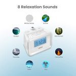 Dual Alarm Digital FM Clock Radio | Time Projection