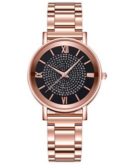 AMOUSTORE Luxury Watches Quartz Watch for Women