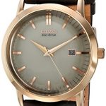 Citizen Eco-Drive Steel Watch with Date