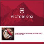Victorinox Swiss Army Maverick Rubber Watch
