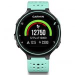 Garmin Forerunner - Frost Blue - Renewed
