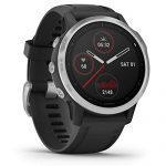 Garmin fenix 6S, Premium Multisport GPS Watch