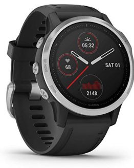 Garmin fenix 6S, Premium Multisport GPS Watch
