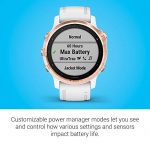 Garmin Fenix 6S Pro Multisport GPS Watch