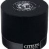 Citizen Eco-Drive Watch for Women