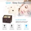 JQUEEN Automatic Wood Watch Winder Display Box