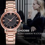 AMOUSTORE Luxury Watches Quartz Watch for Women