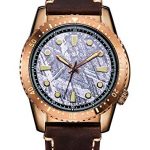 BRIGADA Men's Watches Swiss Brand Watches for Mature Men