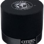 Citizen Eco-Drive Steel Watch with Date