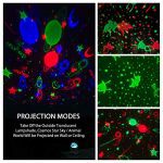 Moredig Night Light Projector Remote Control and Timer