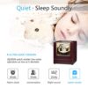 Double Watch Winder with Quiet Japanese Mabuchi Motor