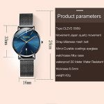 Water Resistant Blue Dial Steel Mesh Band Wrist Watch