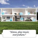 Smart speaker with clock and Alexa All-new Echo Dot