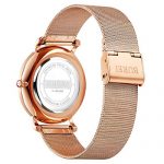 BUREI Men's Fashion Minimalist Wrist Watch Analog Date