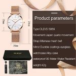 Women's Thin Watch,Ladies Rose Gold Watch,Mesh Watches for Women