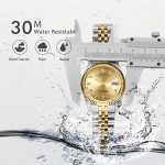 BUREI Mens Luxury Automatic Watch Dress Gold Self-Winding