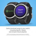 Garmin fenix 6S, Premium Multisport GPS Watch