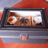Organize and Showcase: 6-Slot Watch Display Storage